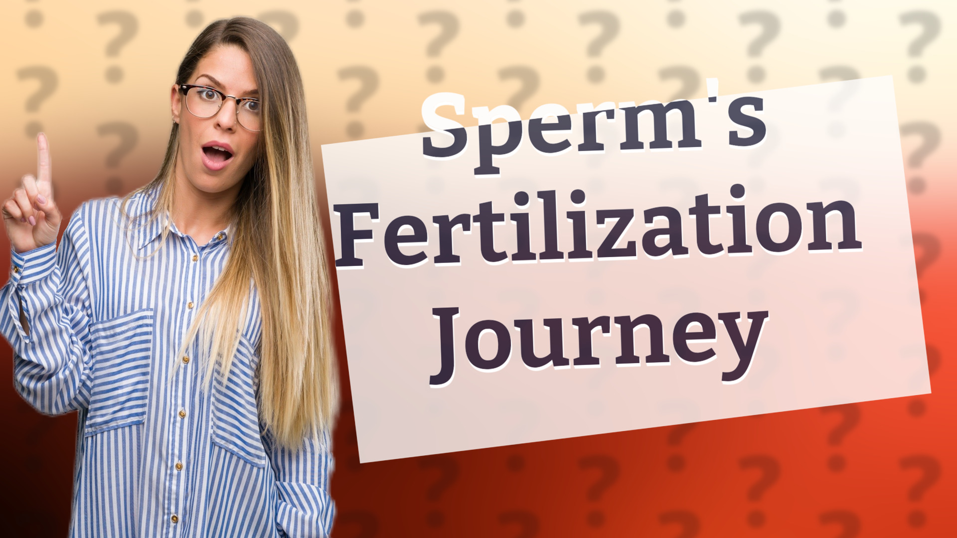 Sperm's Fertilization Journey