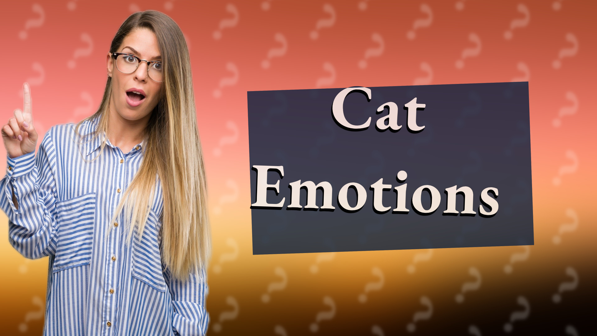 Cat Emotions