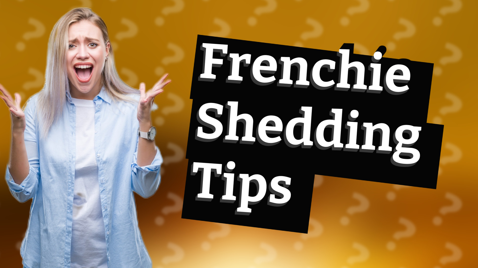 Frenchie Shedding Tips