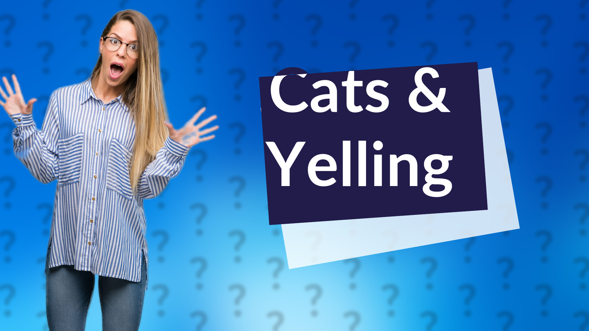 Cats & Yelling