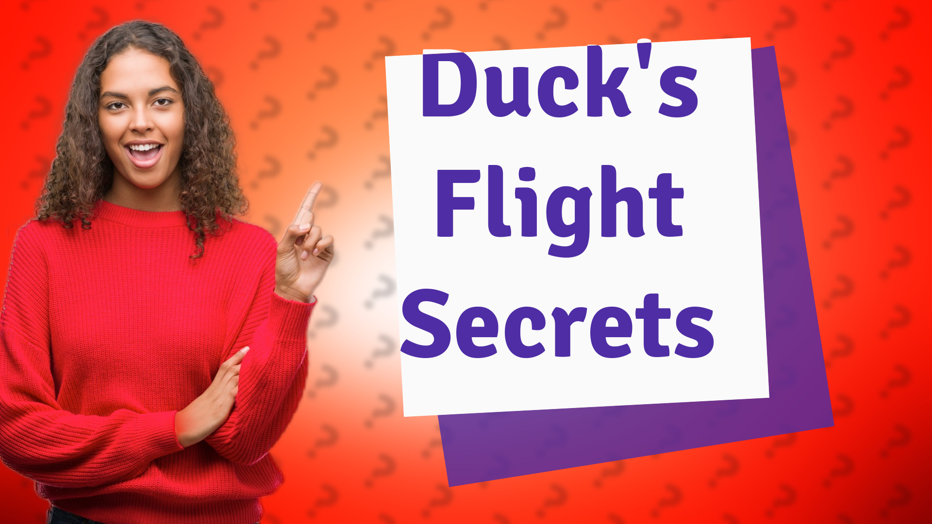 Duck's Flight Secrets