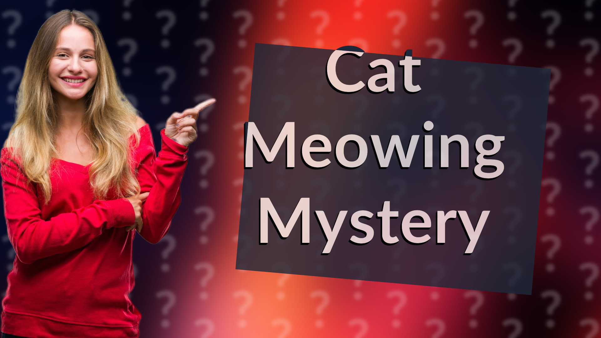 Cat Meowing Mystery