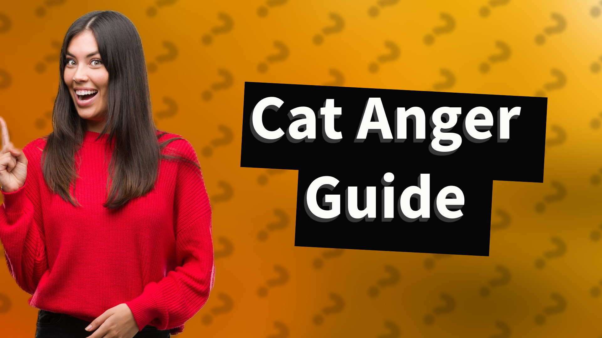 Cat Anger Guide