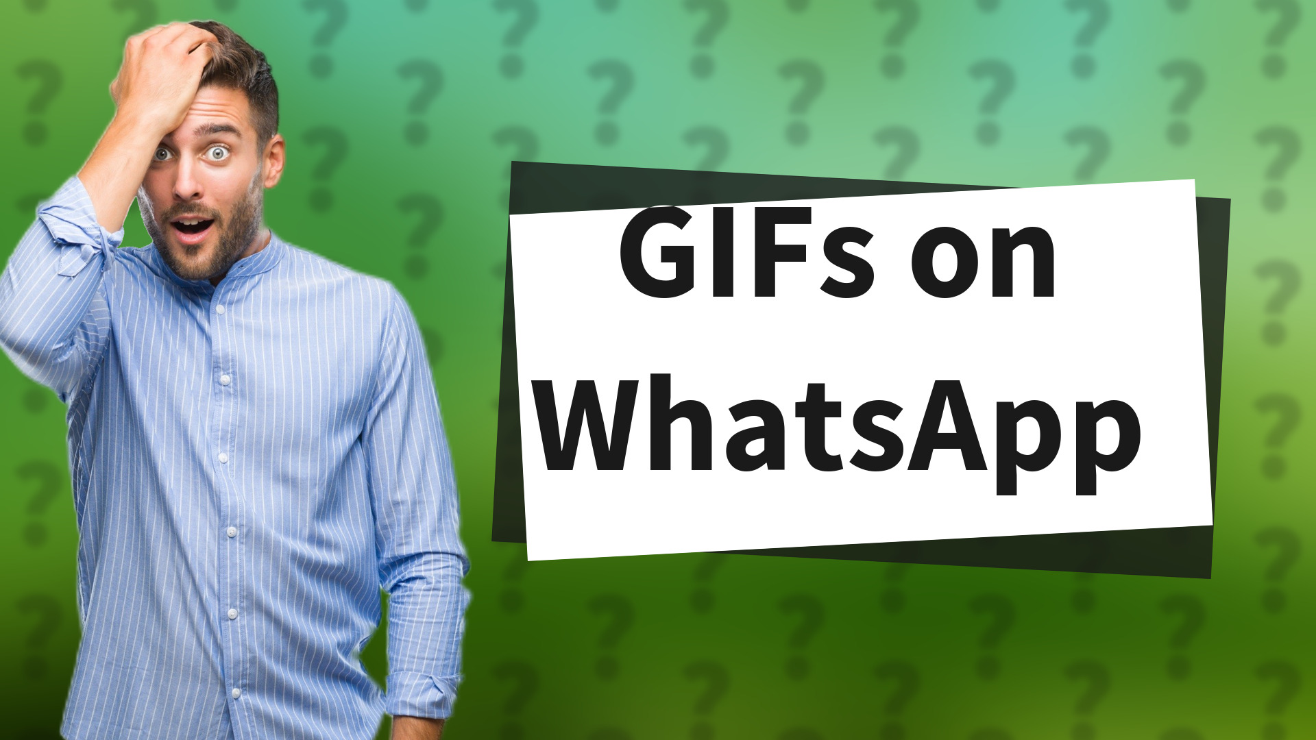 GIFs on WhatsApp