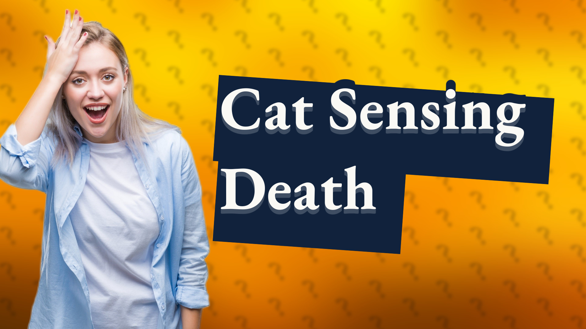 Cat Sensing Death