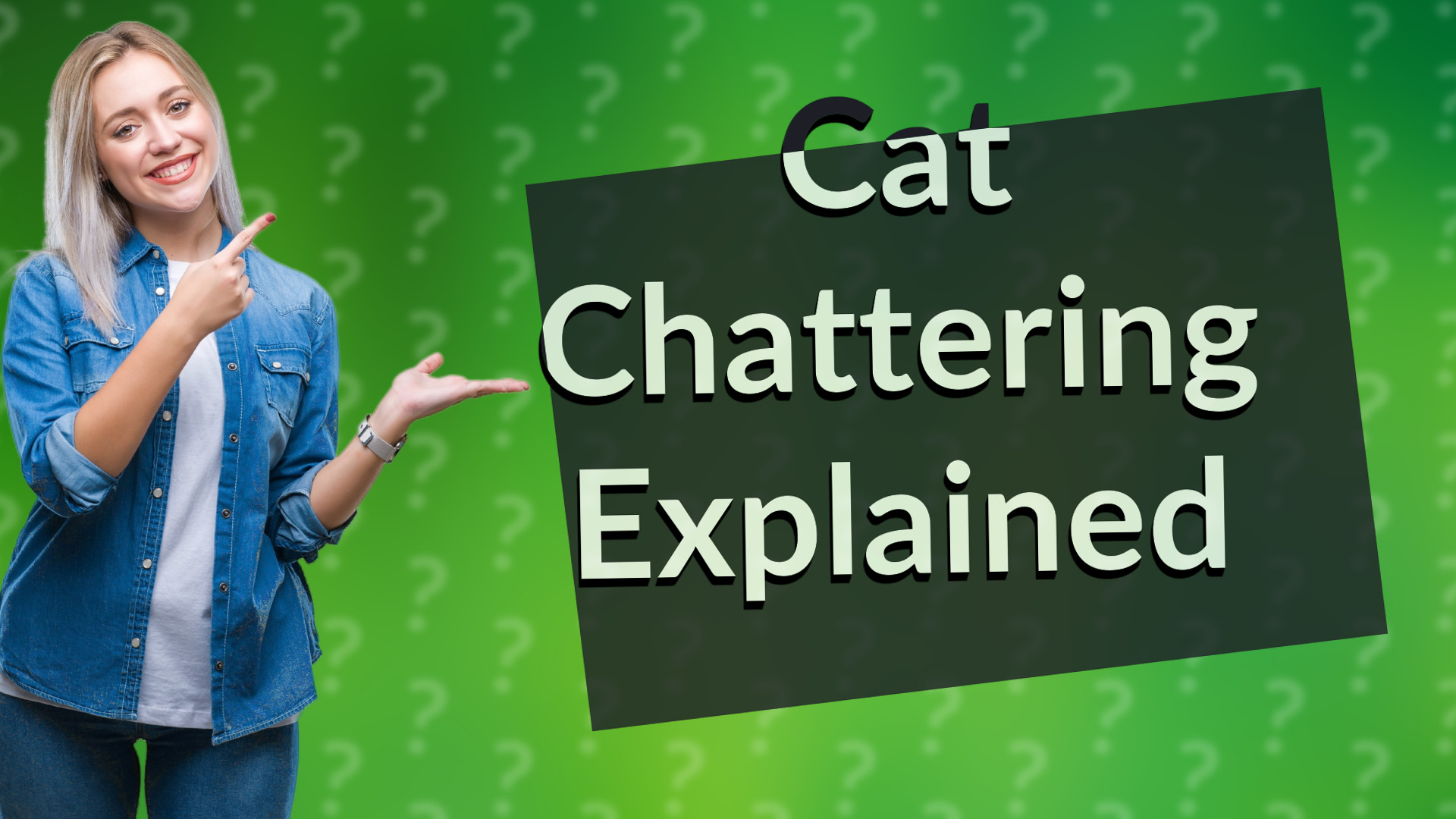 Cat Chattering Explained