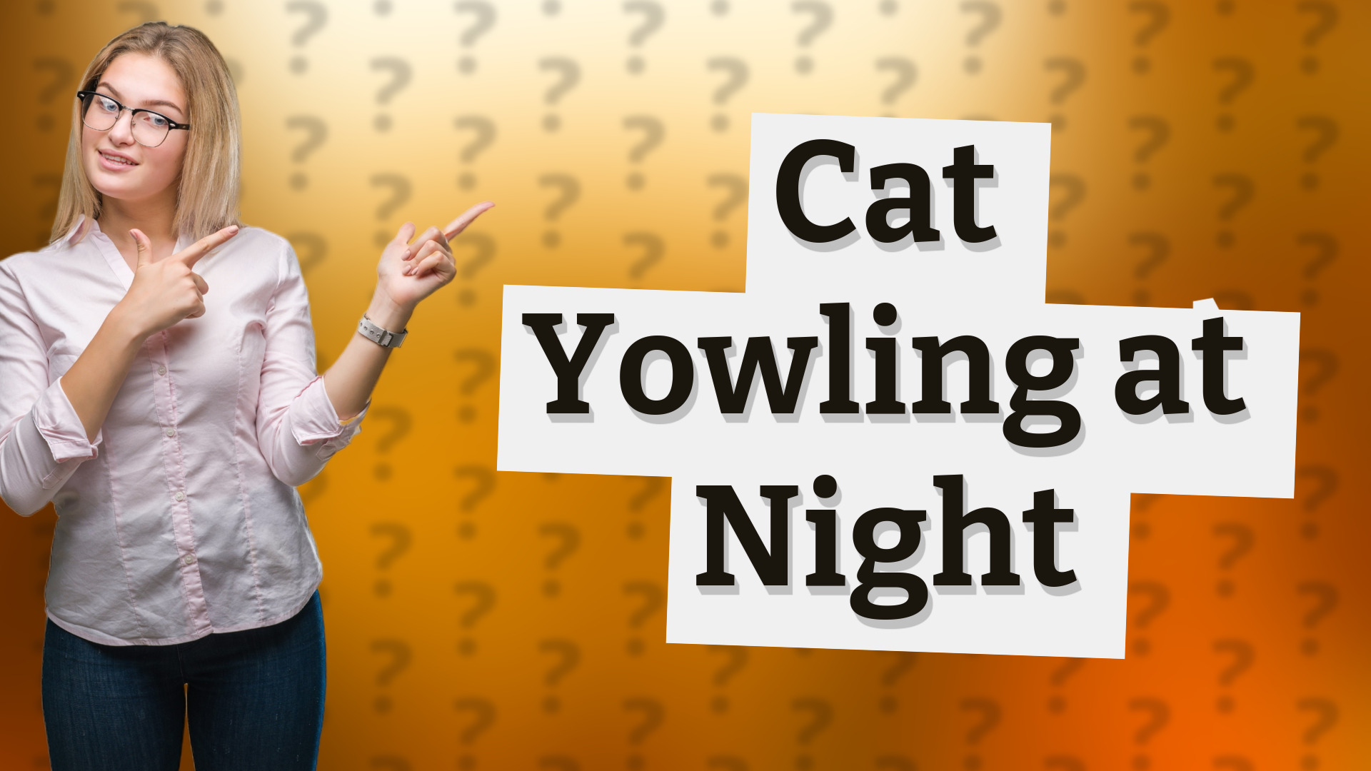 Cat Yowling at Night