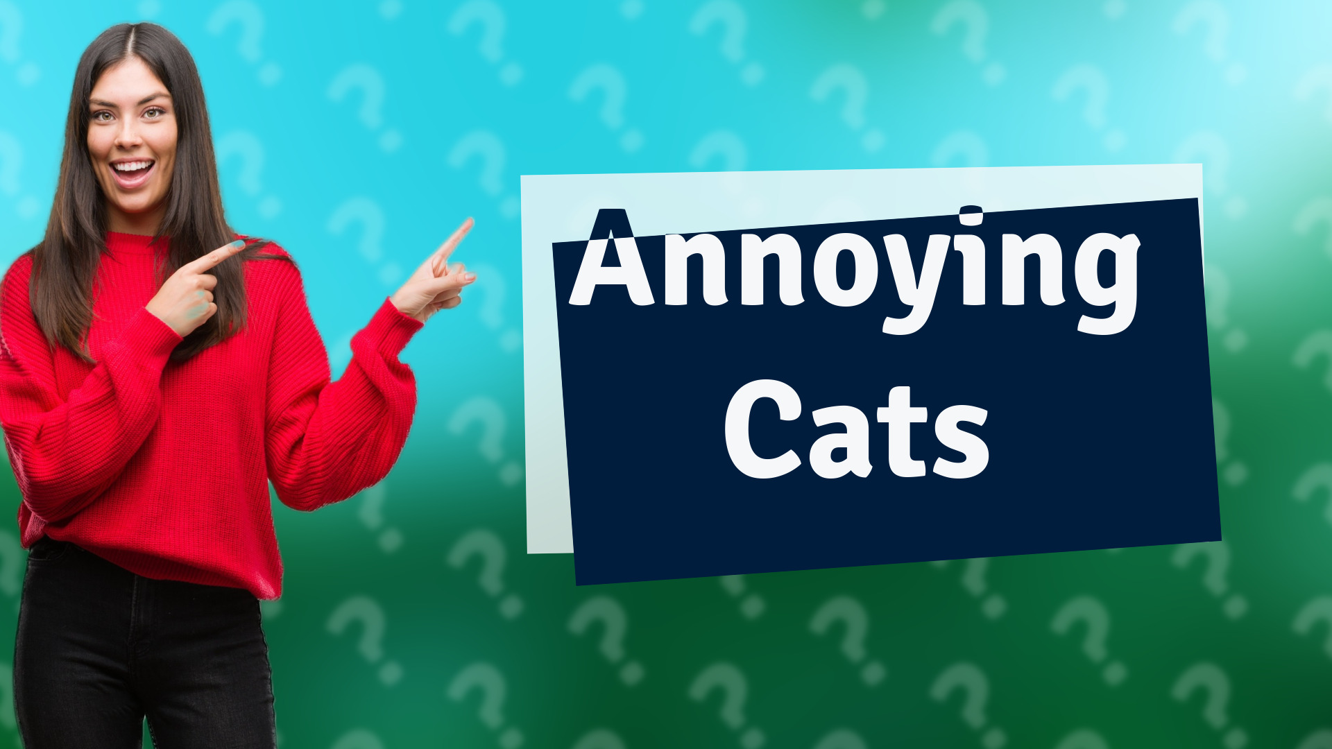 Annoying Cats