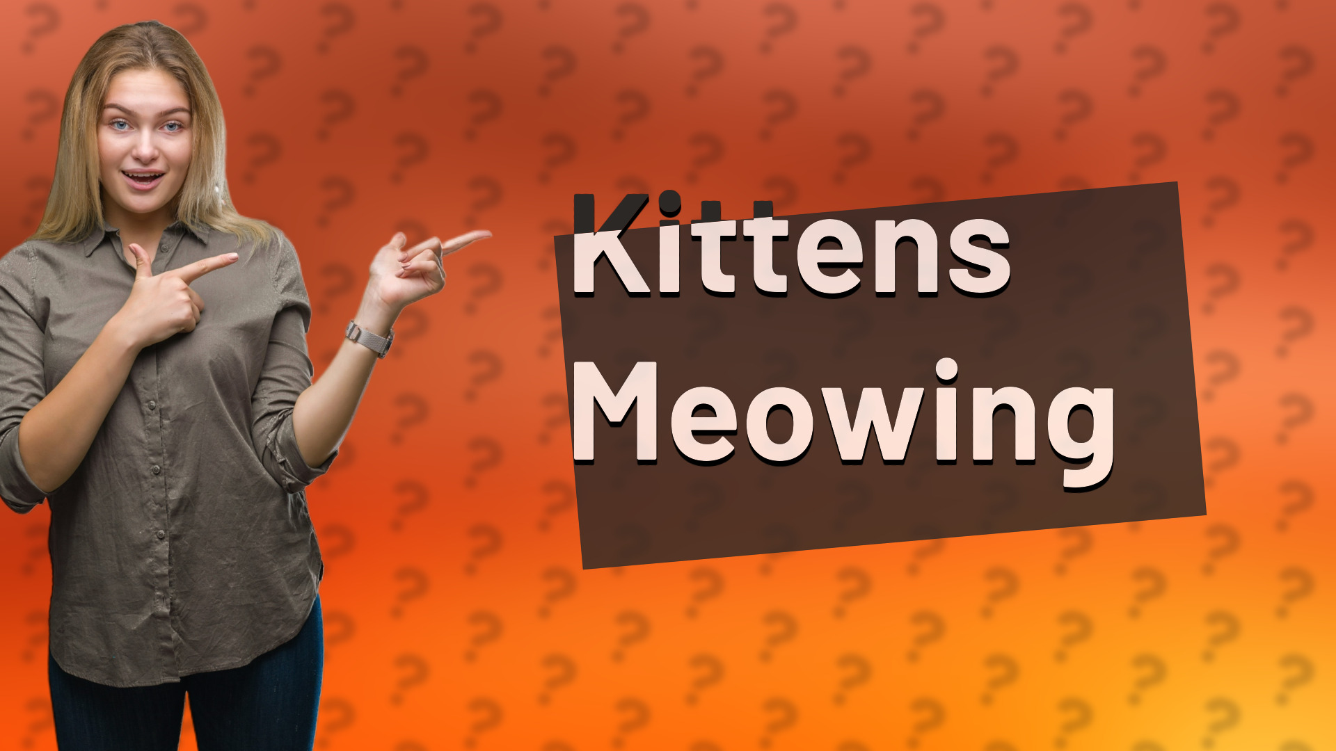 Kittens Meowing