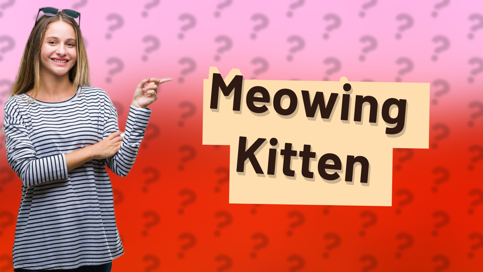 Meowing Kitten