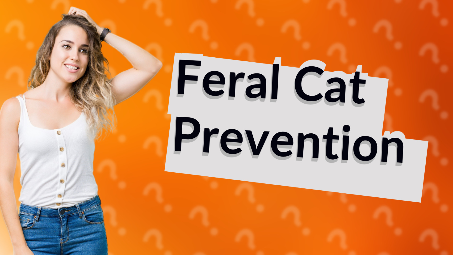 Feral Cat Prevention