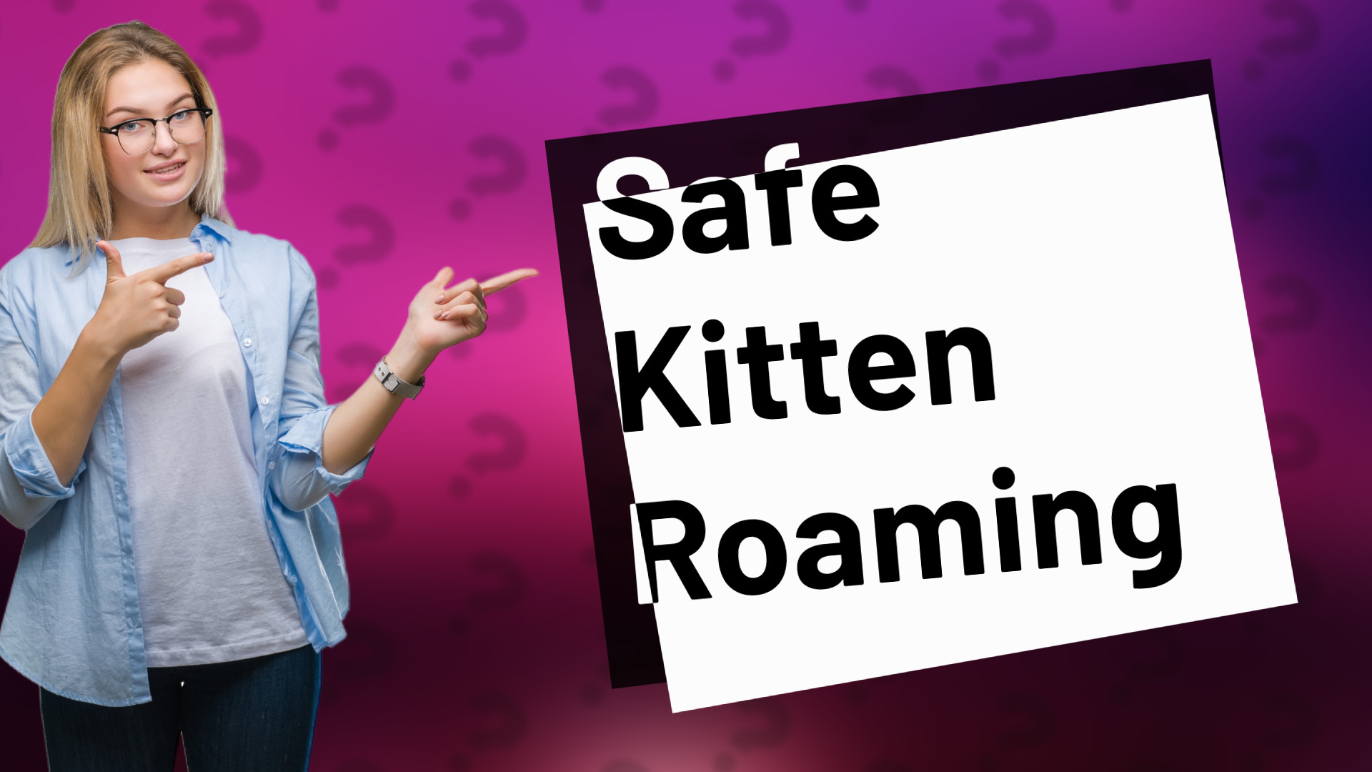 Safe Kitten Roaming