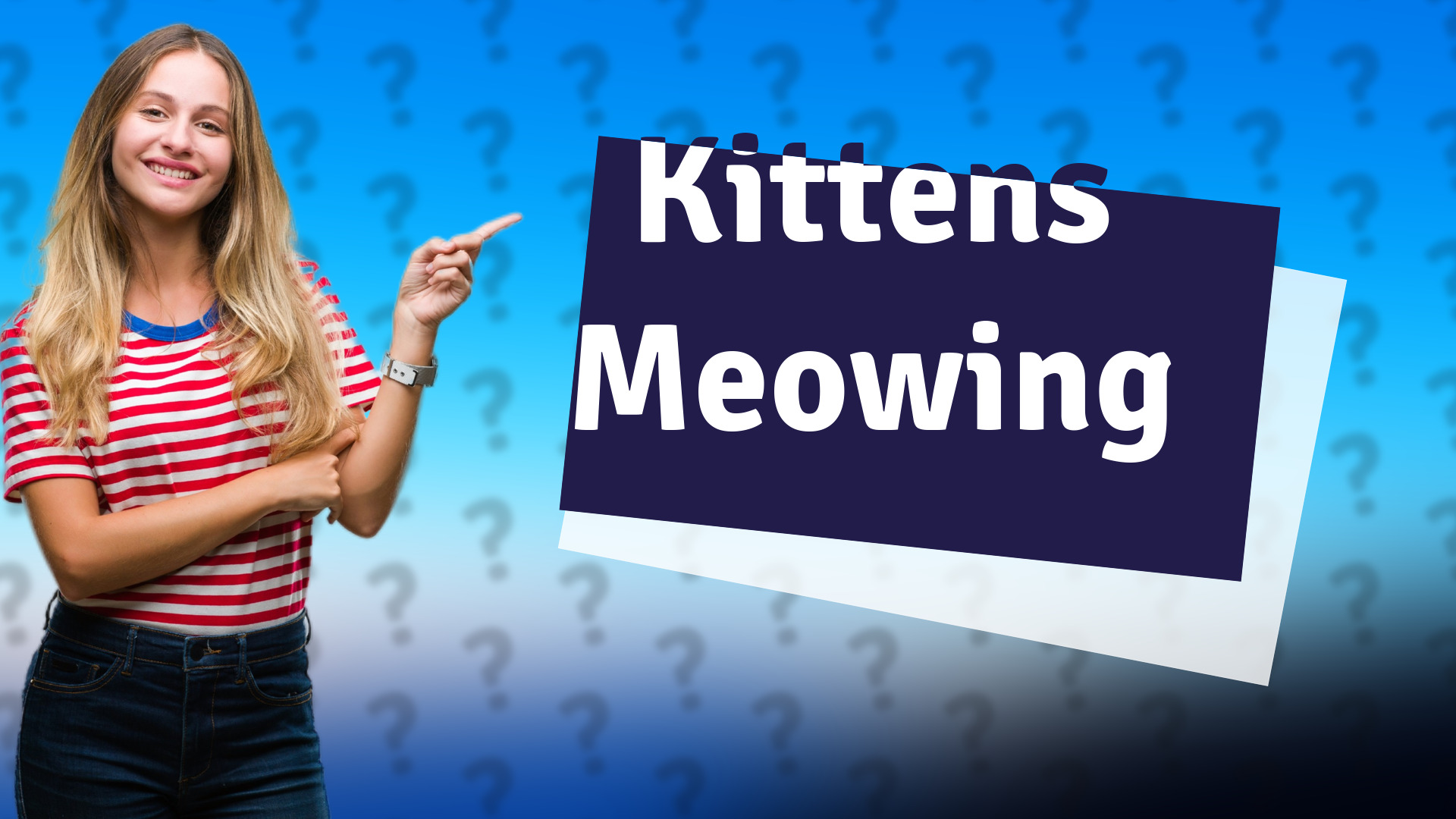 Kittens Meowing