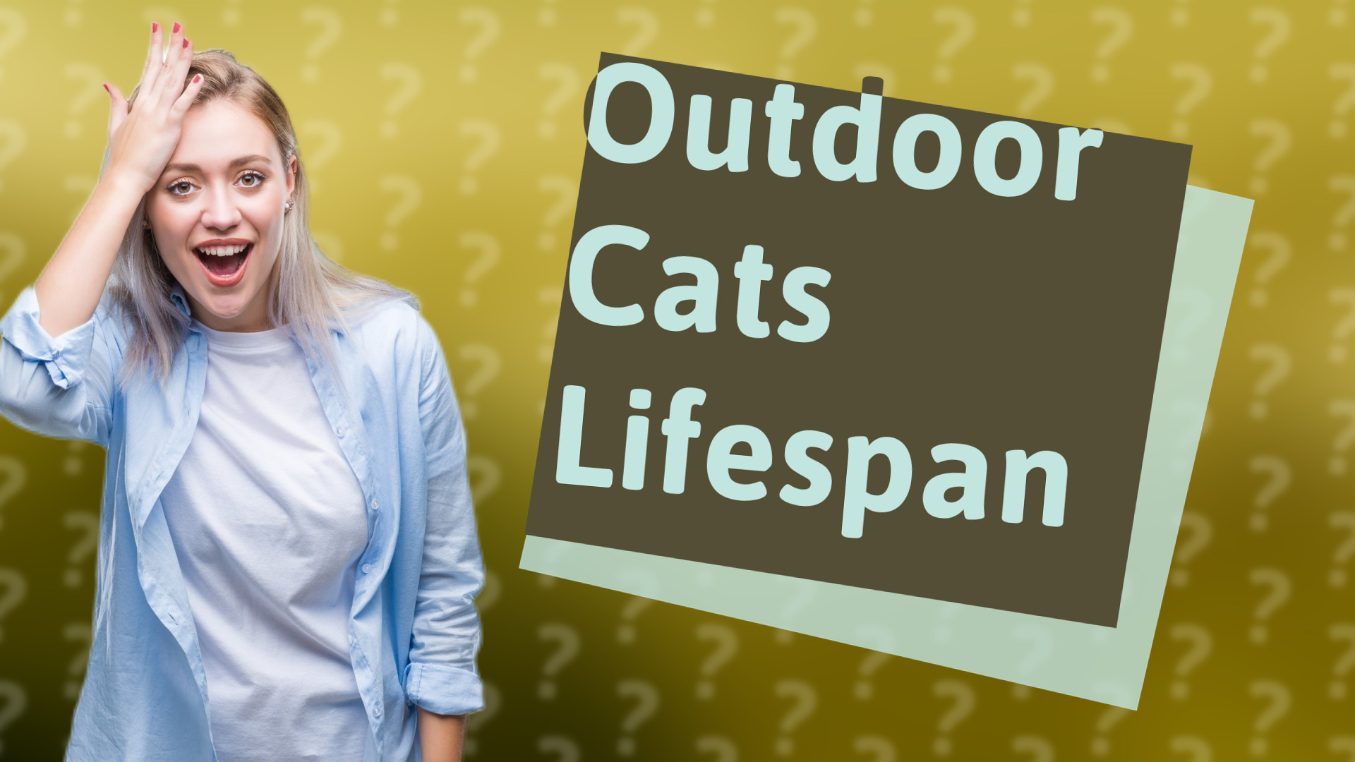 Outdoor Cats Lifespan