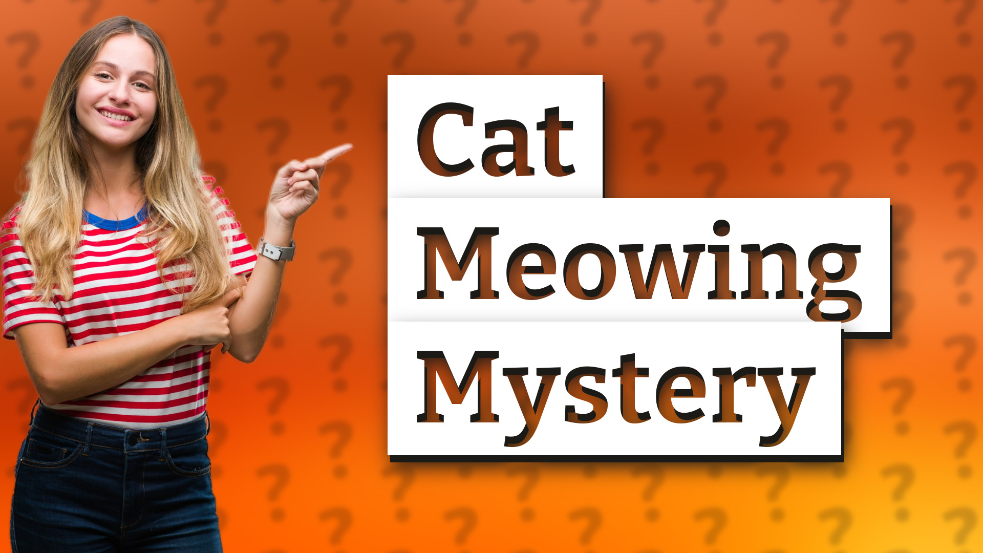 Cat Meowing Mystery