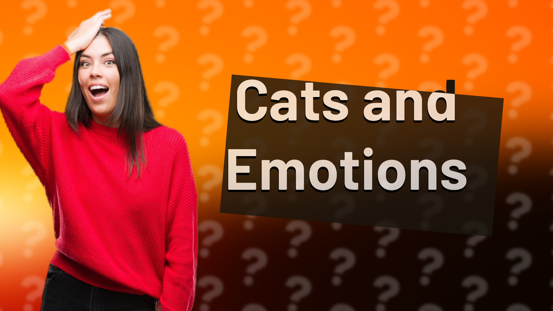 Cats and Emotions