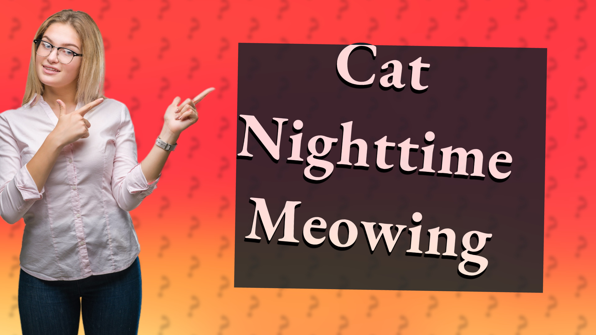Cat Nighttime Meowing