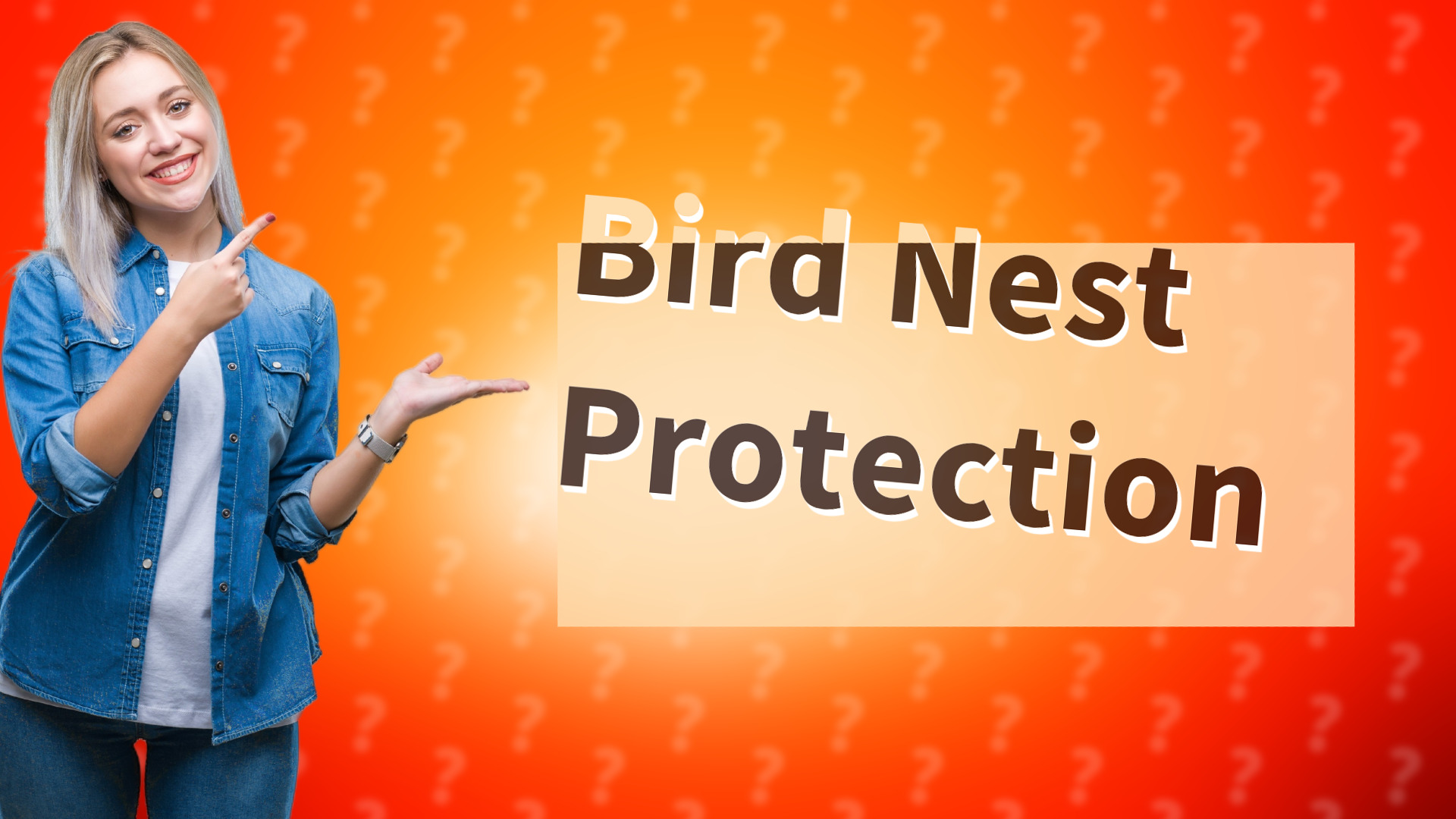 Bird Nest Protection