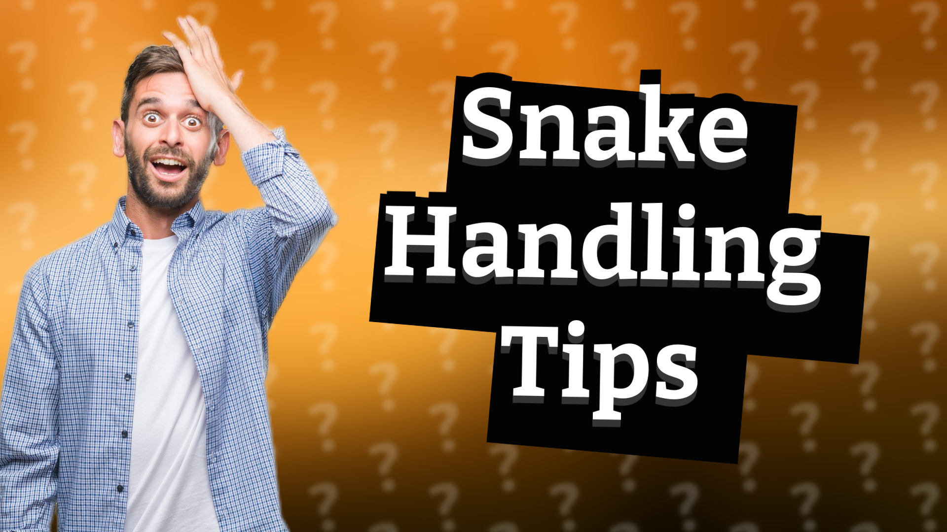 Snake Handling Tips
