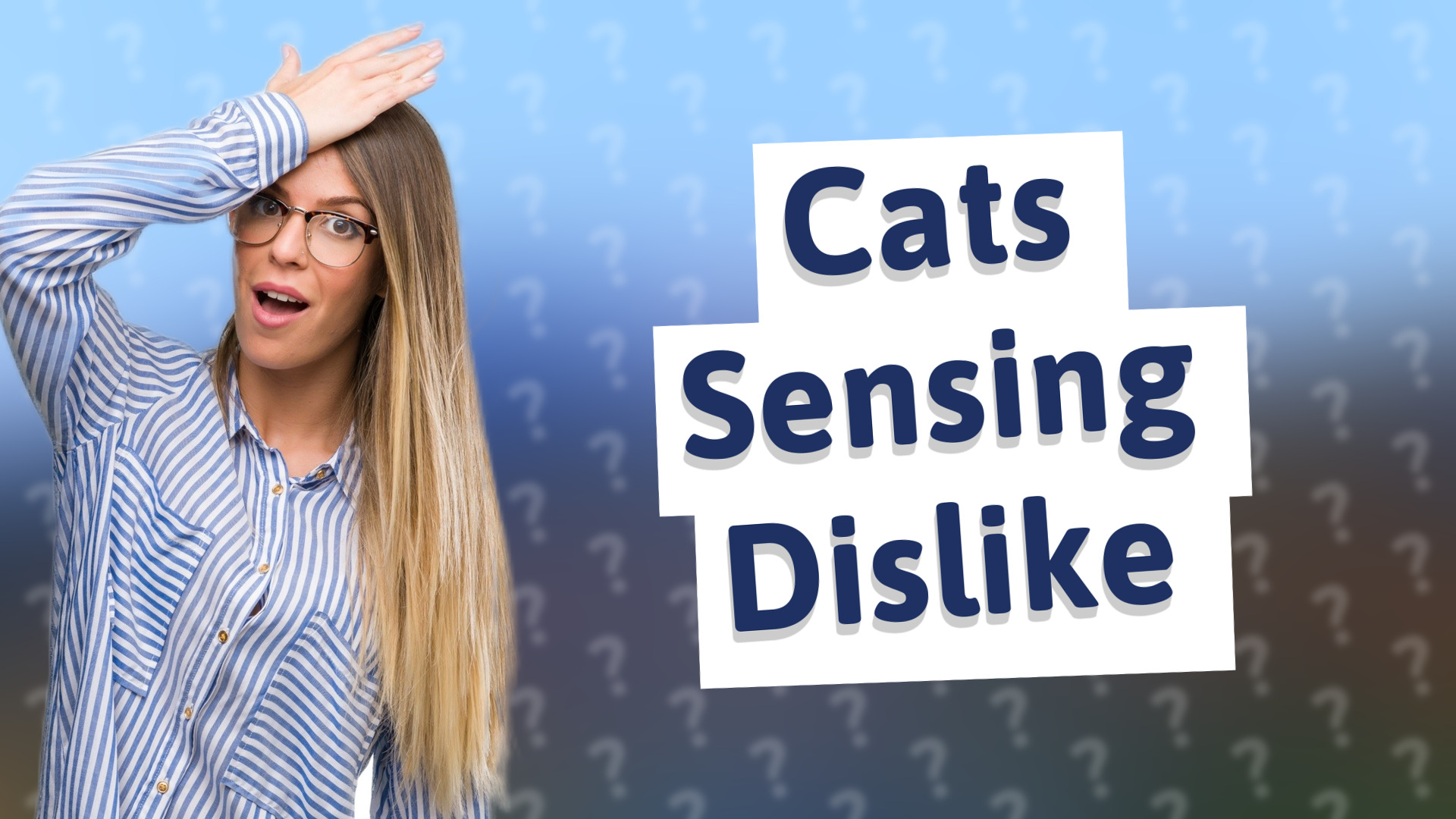 Cats Sensing Dislike