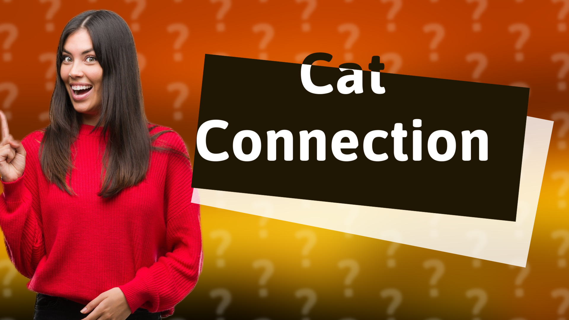 Cat Connection