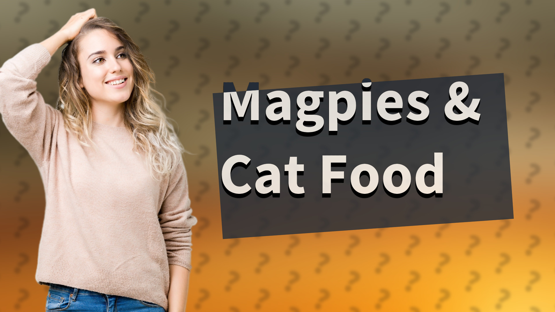 Magpies & Cat Food