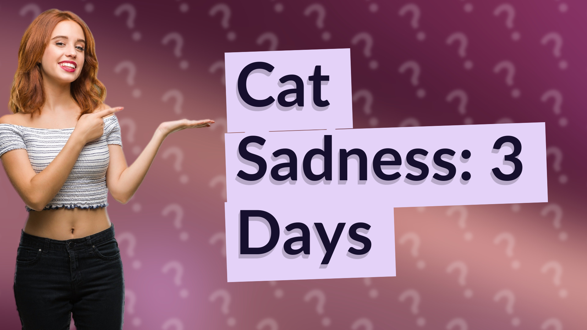 Cat Sadness: 3 Days