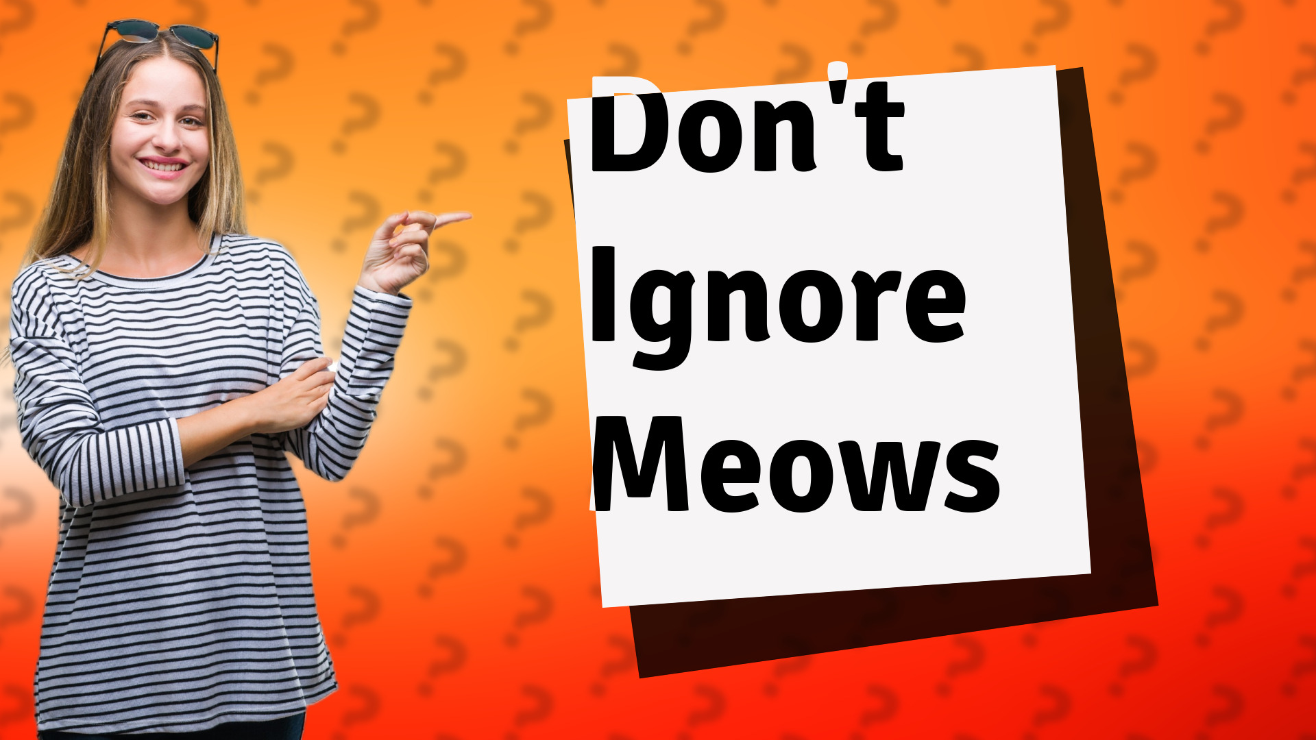 Don't Ignore Meows