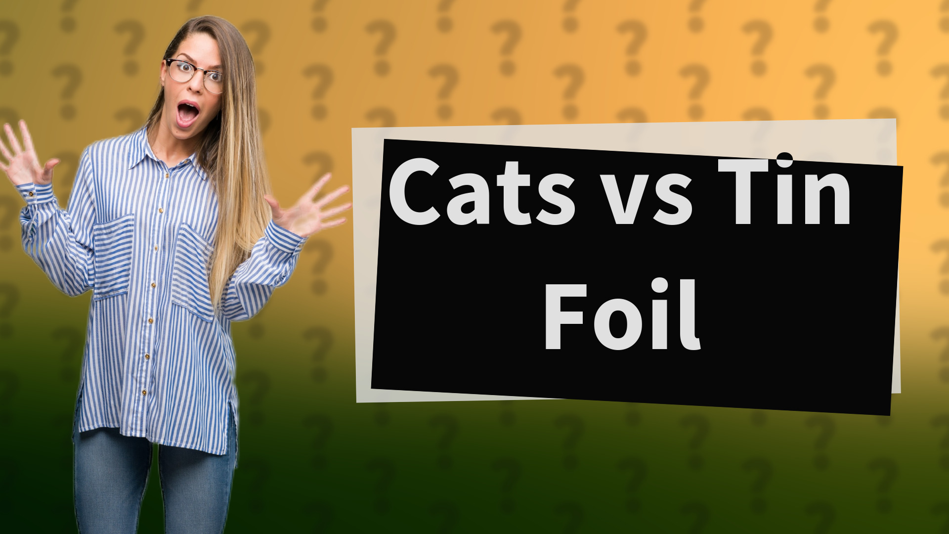 Cats vs Tin Foil