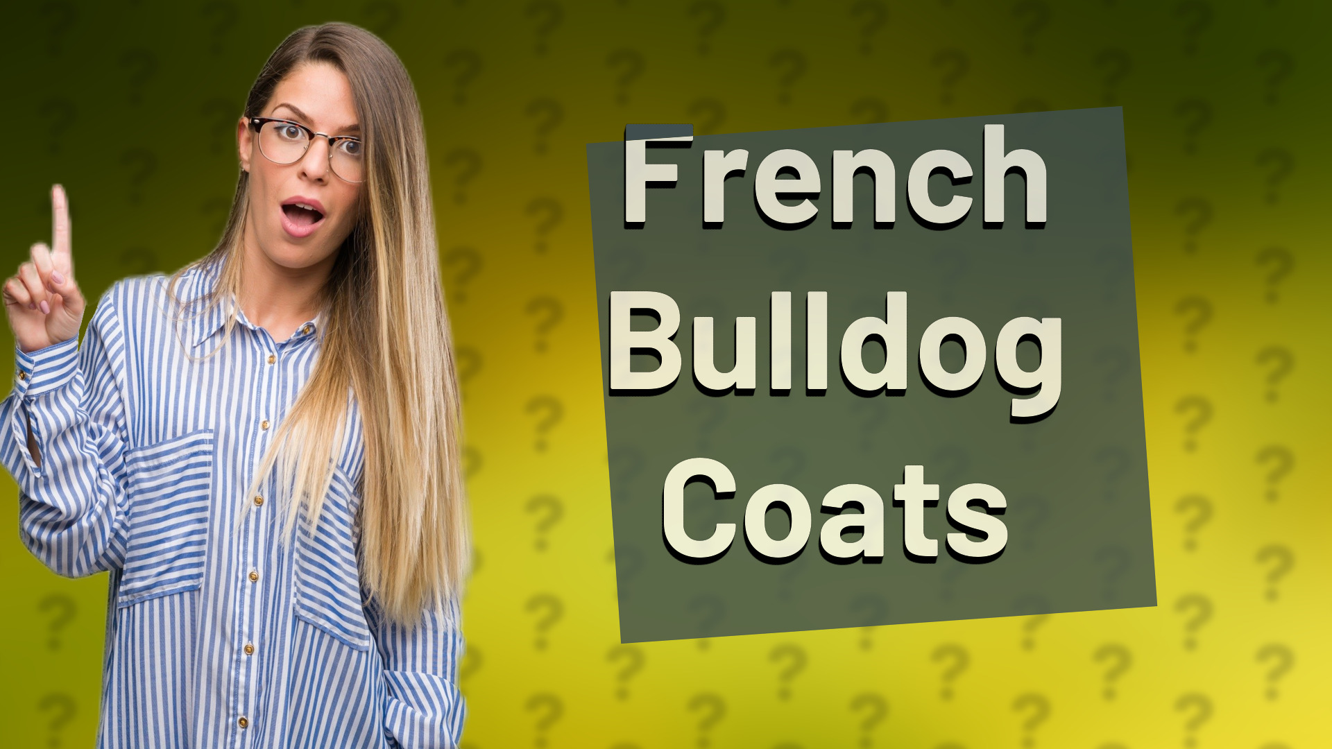 French Bulldog Coats