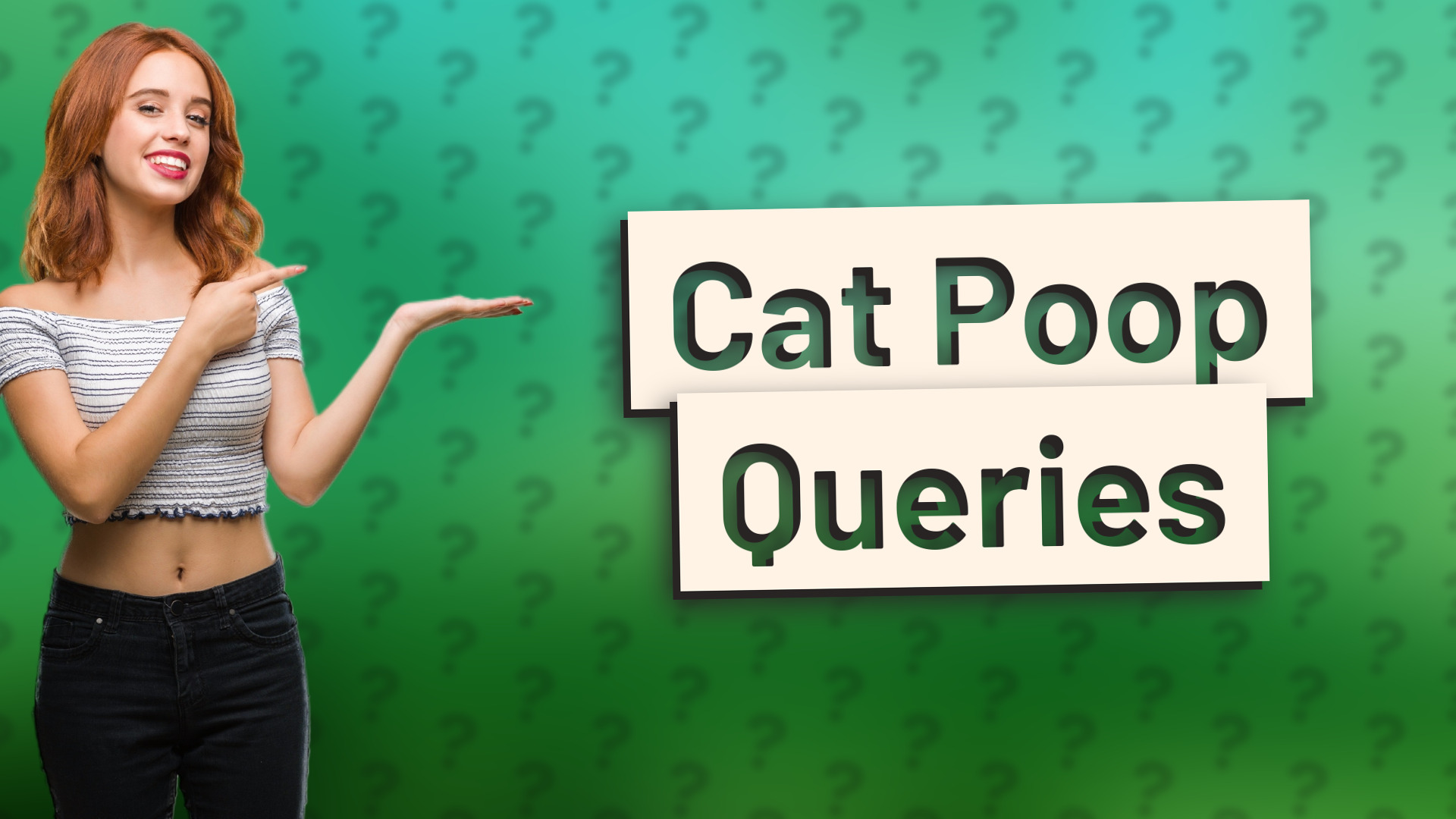 Cat Poop Queries