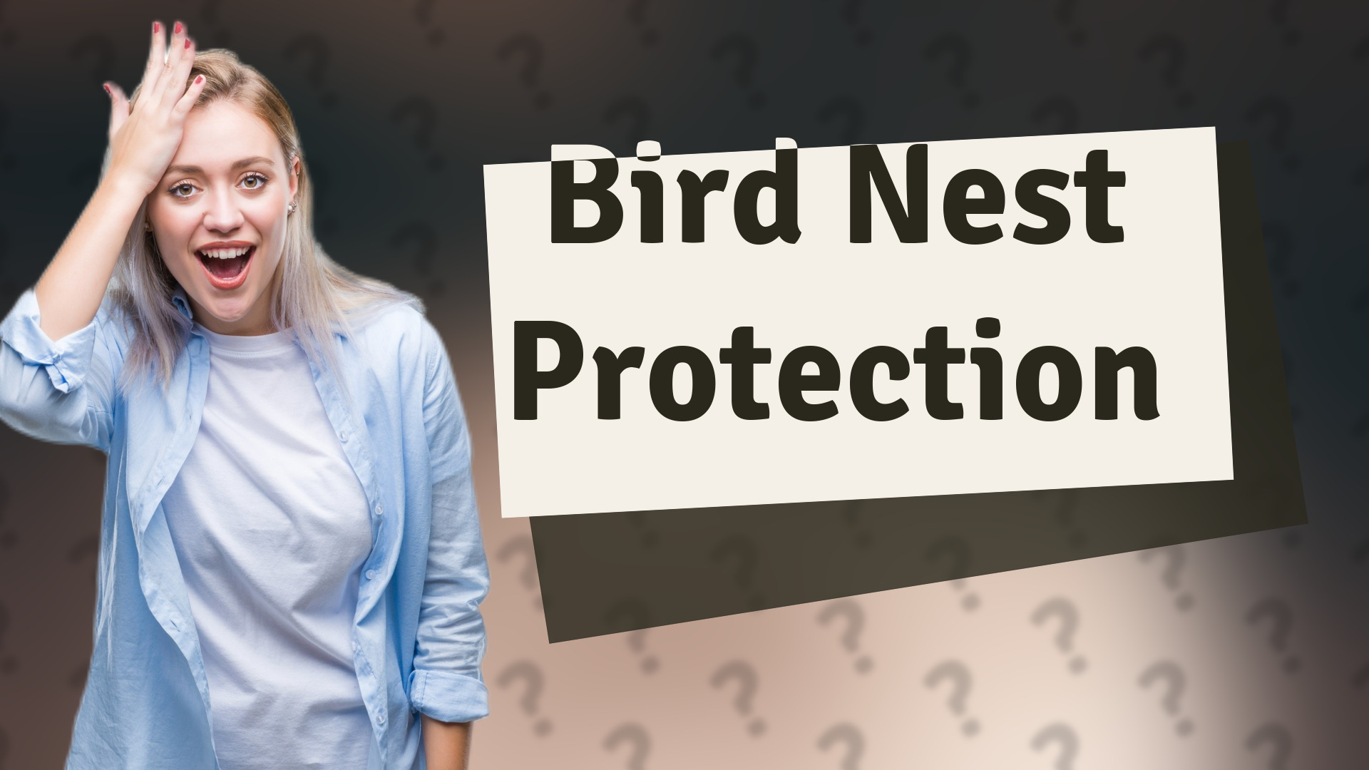 Bird Nest Protection