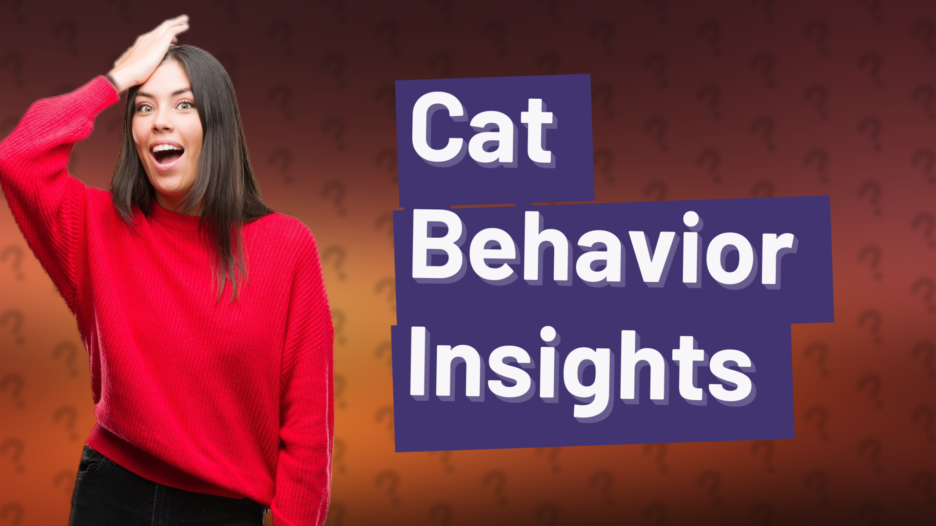 Cat Behavior Insights