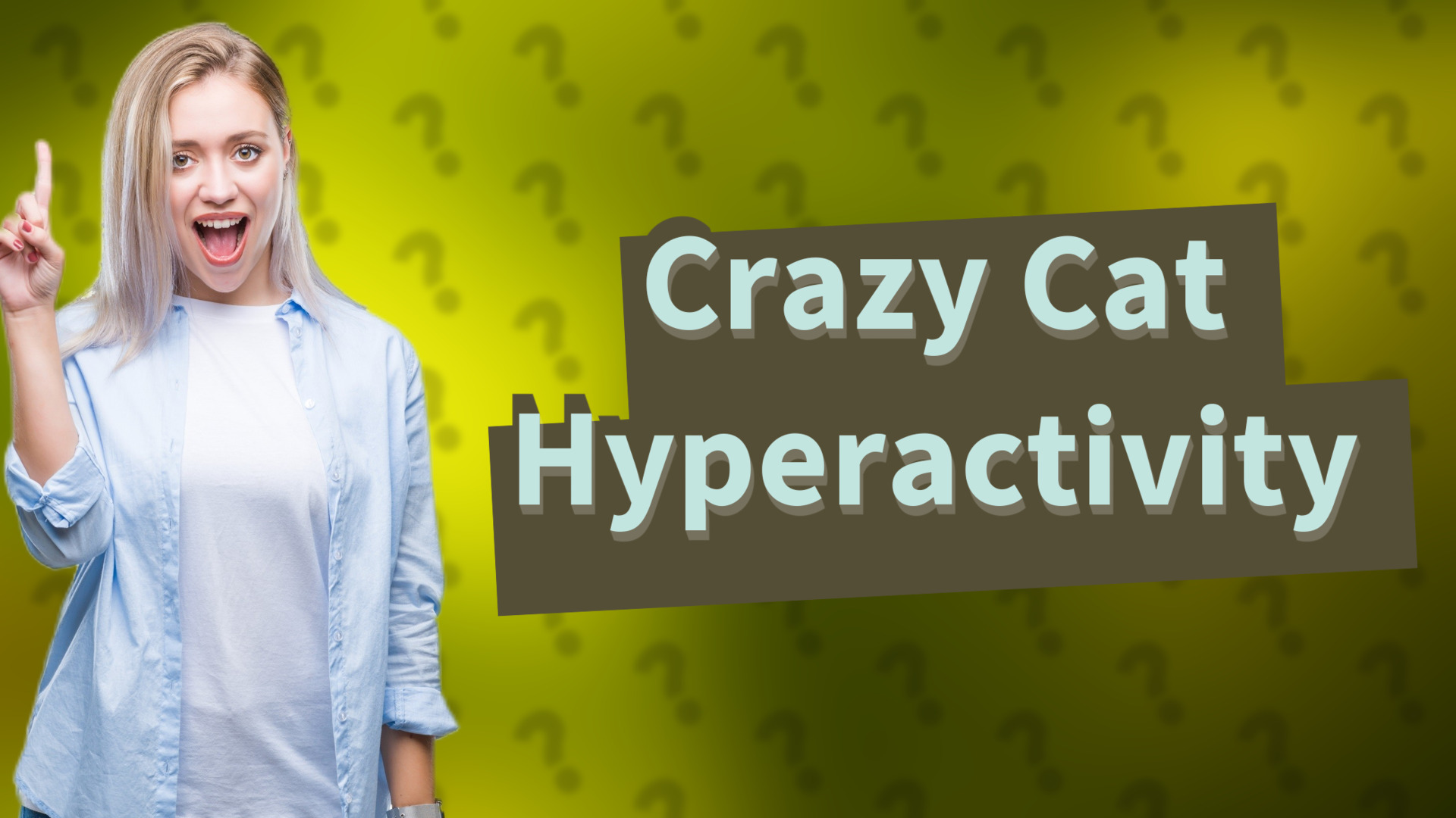 Crazy Cat Hyperactivity