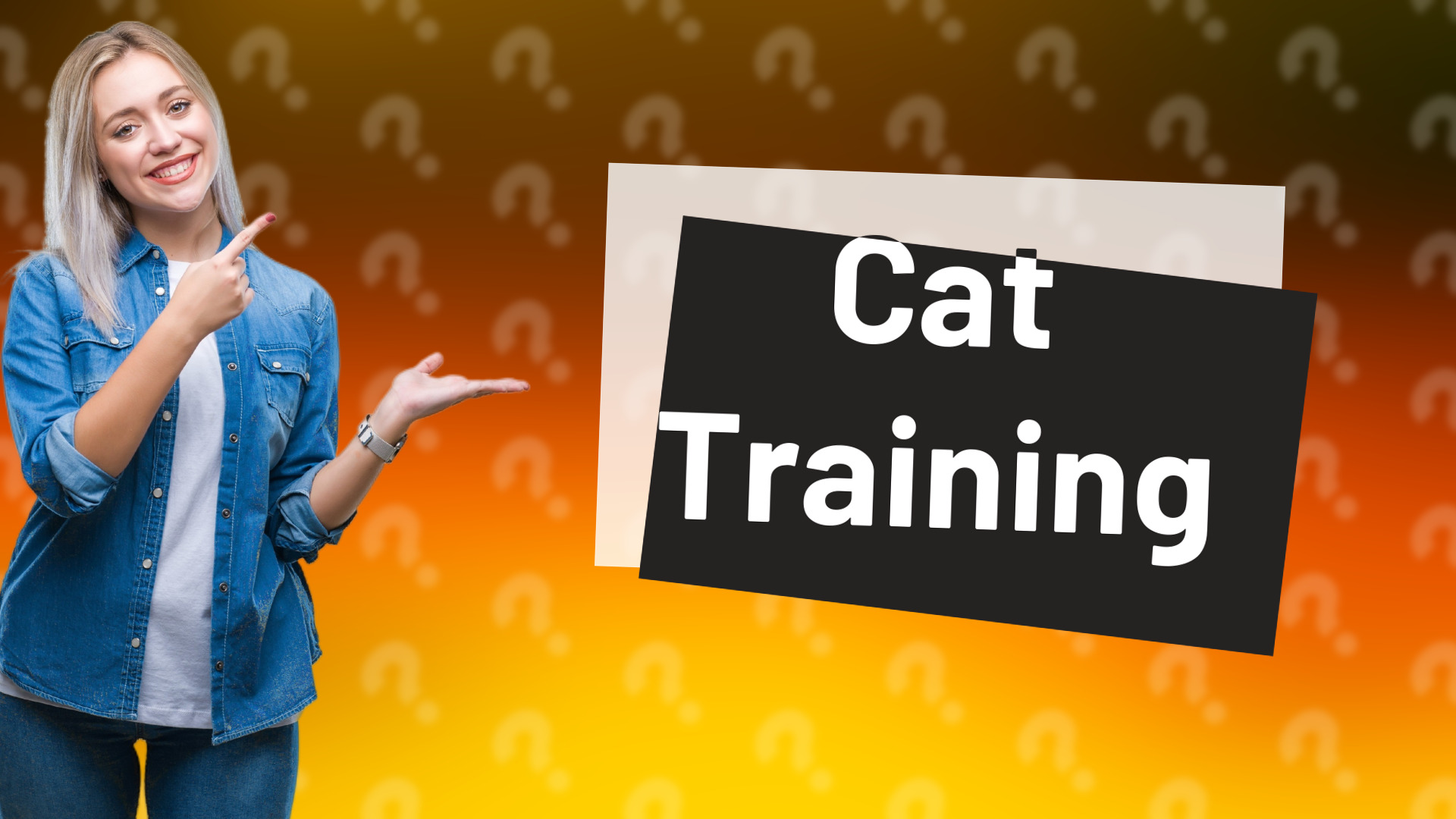 Cat Training