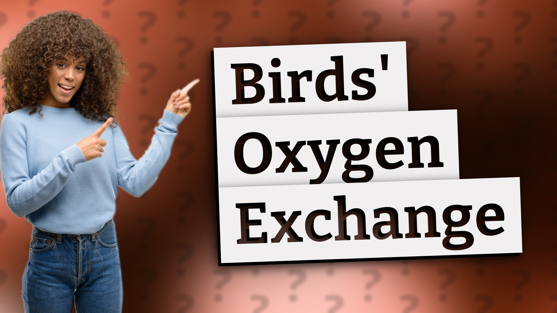 Birds' Oxygen Exchange