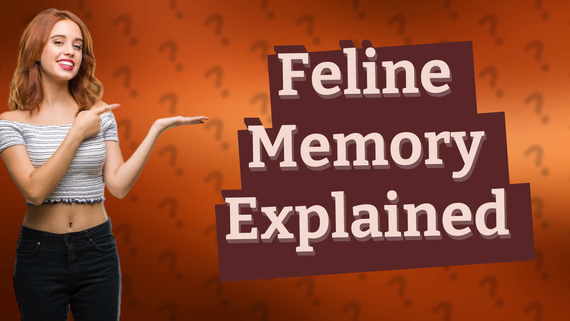 Feline Memory Explained
