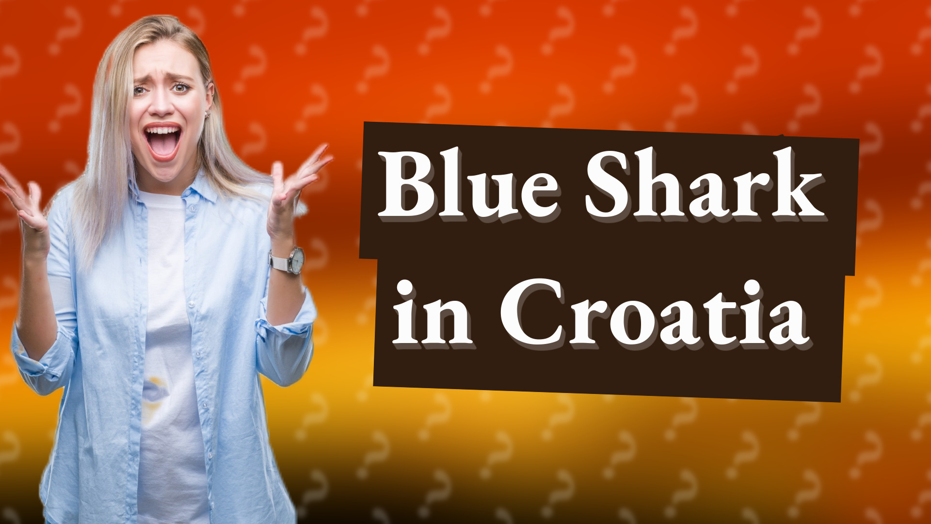 Blue Shark in Croatia