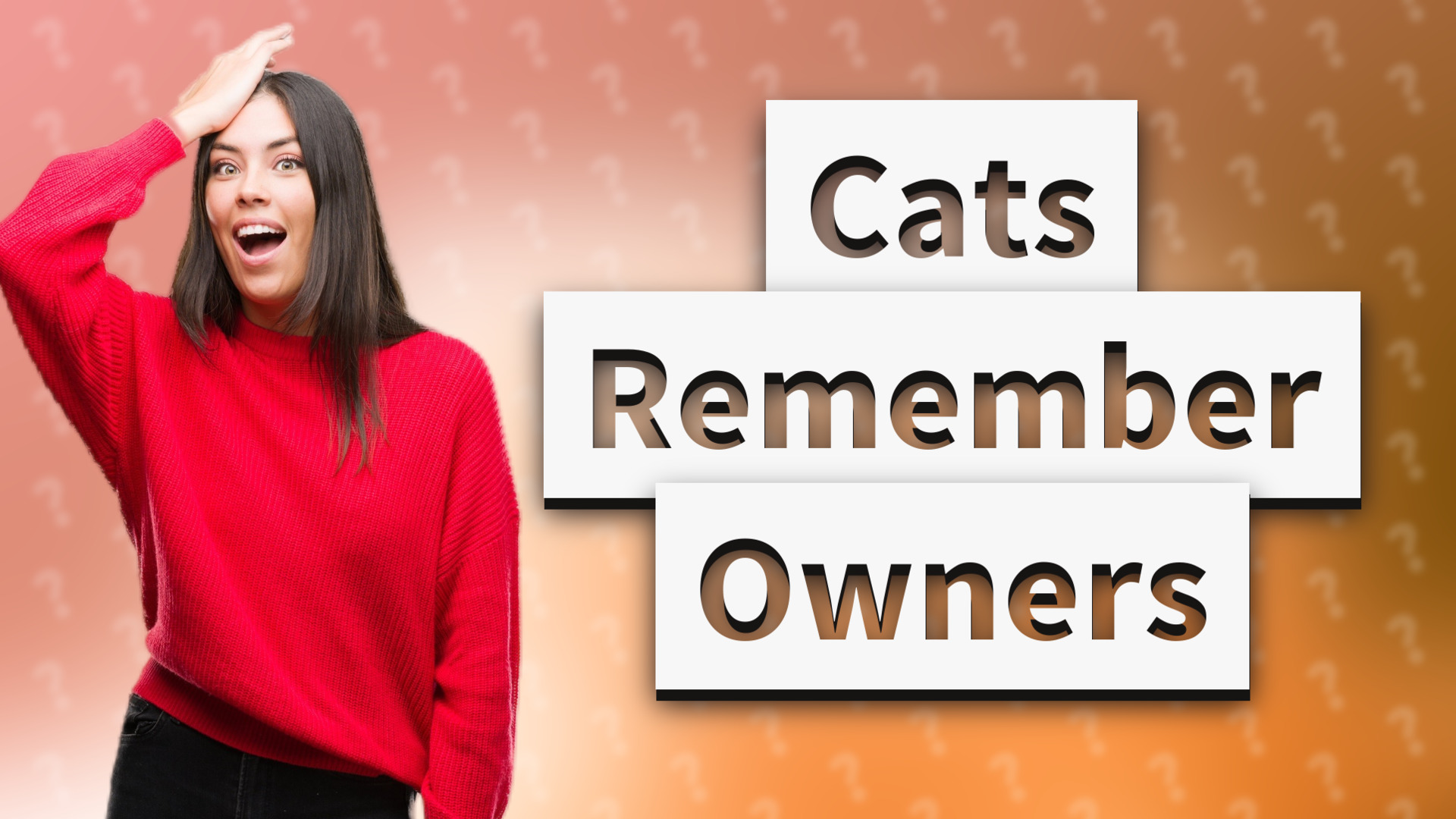 Cats Remember Owners