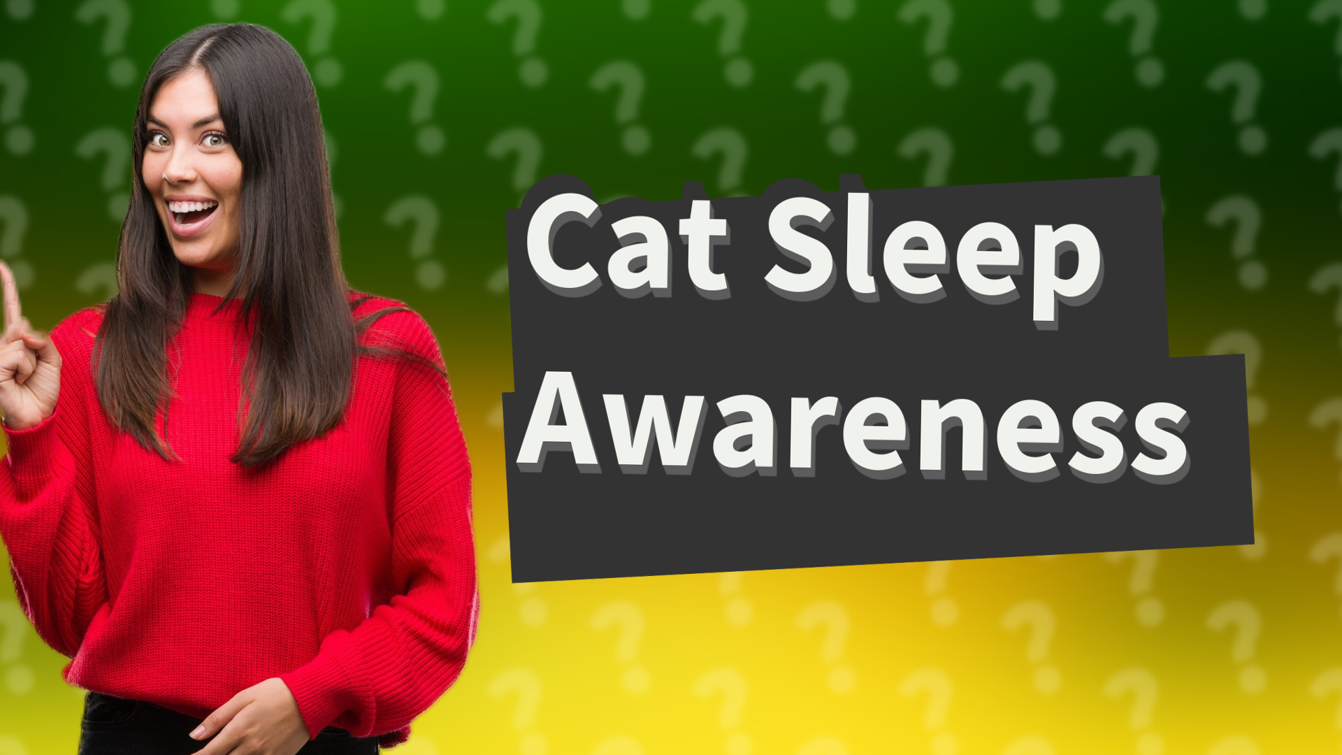 Cat Sleep Awareness