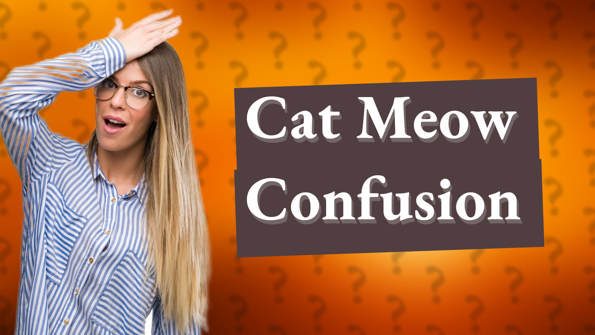 Cat Meow Confusion