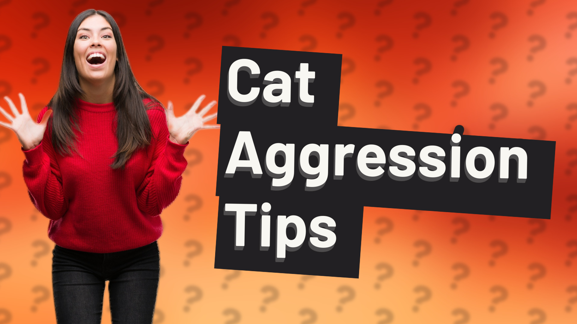 Cat Aggression Tips