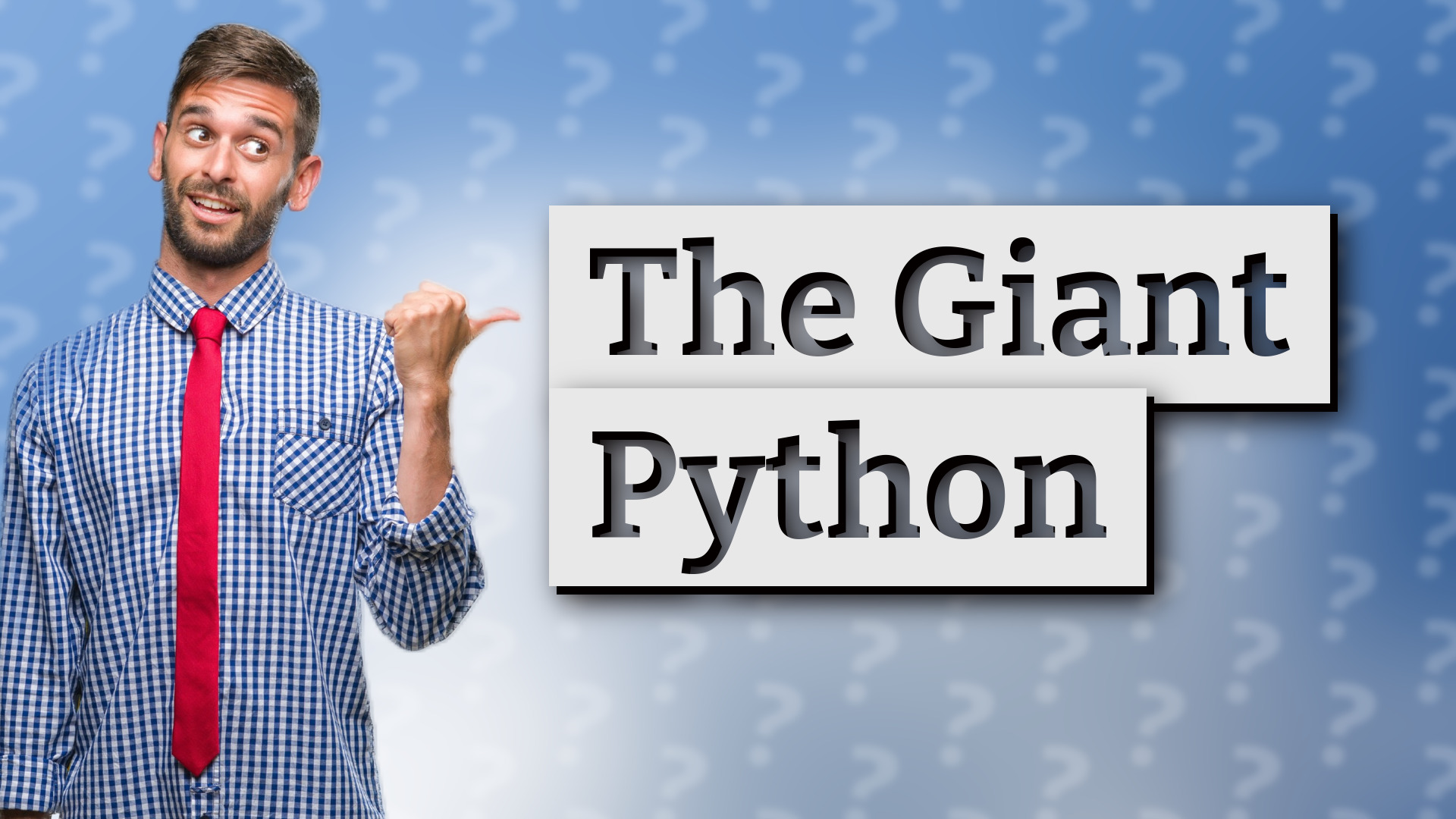 The Giant Python