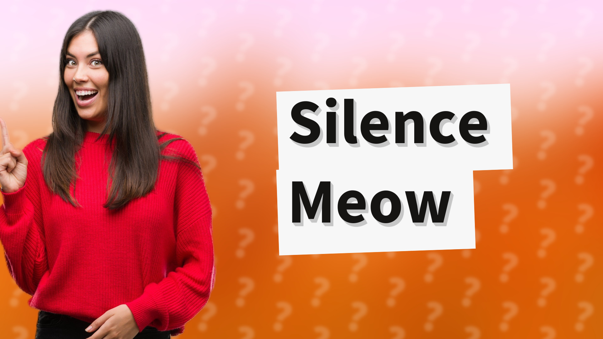 Silence Meow
