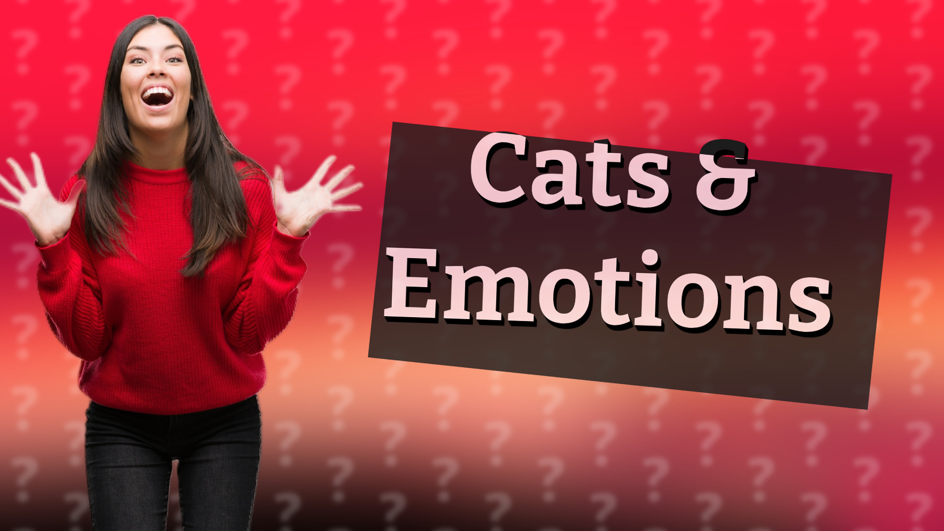 Cats & Emotions