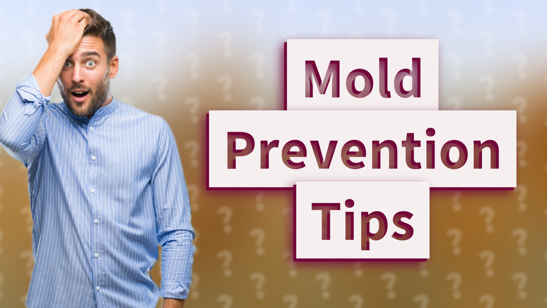 Mold Prevention Tips