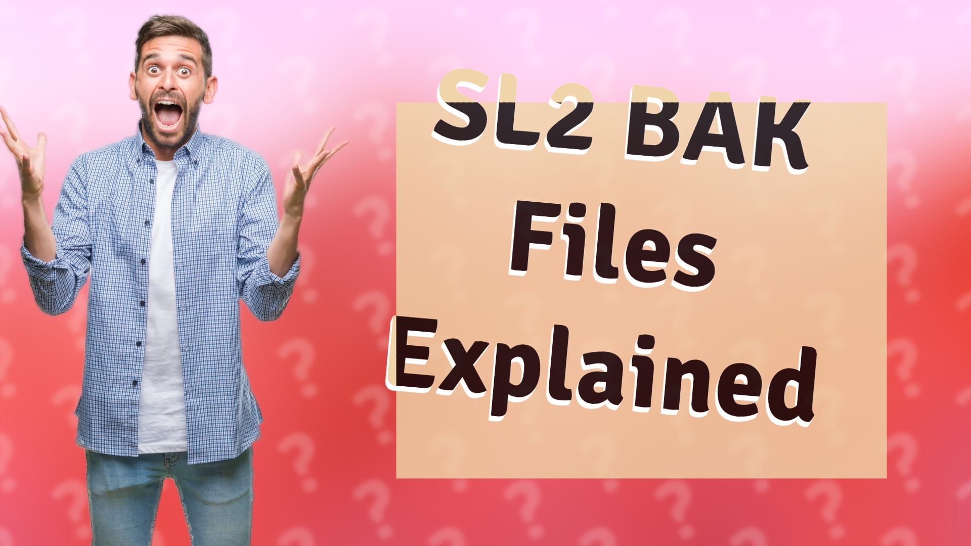 SL2 BAK Files Explained