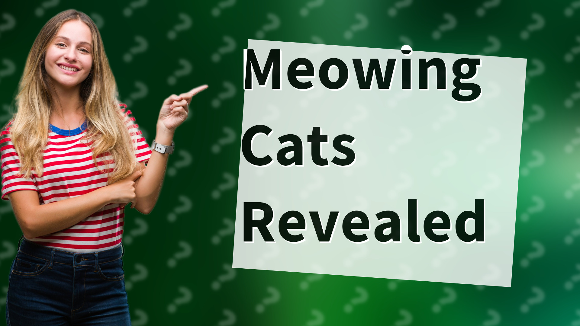 Meowing Cats Revealed