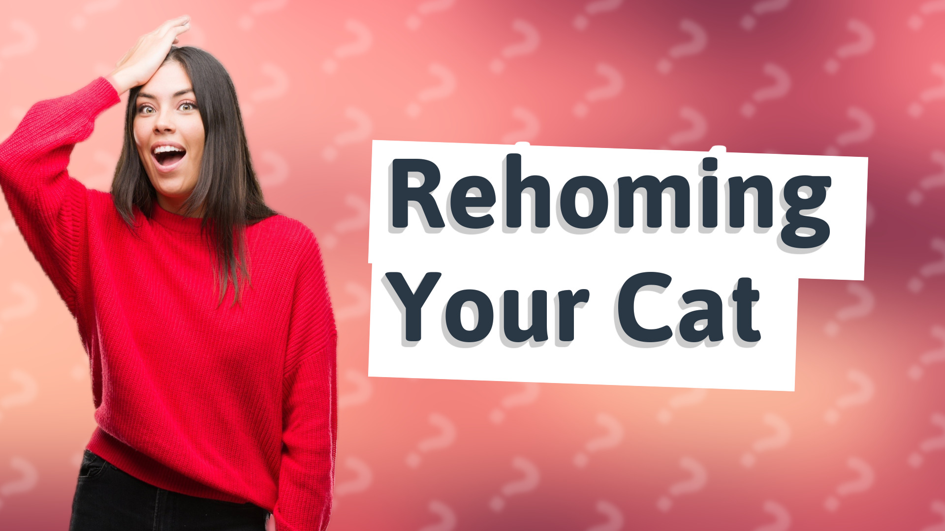 Rehoming Your Cat