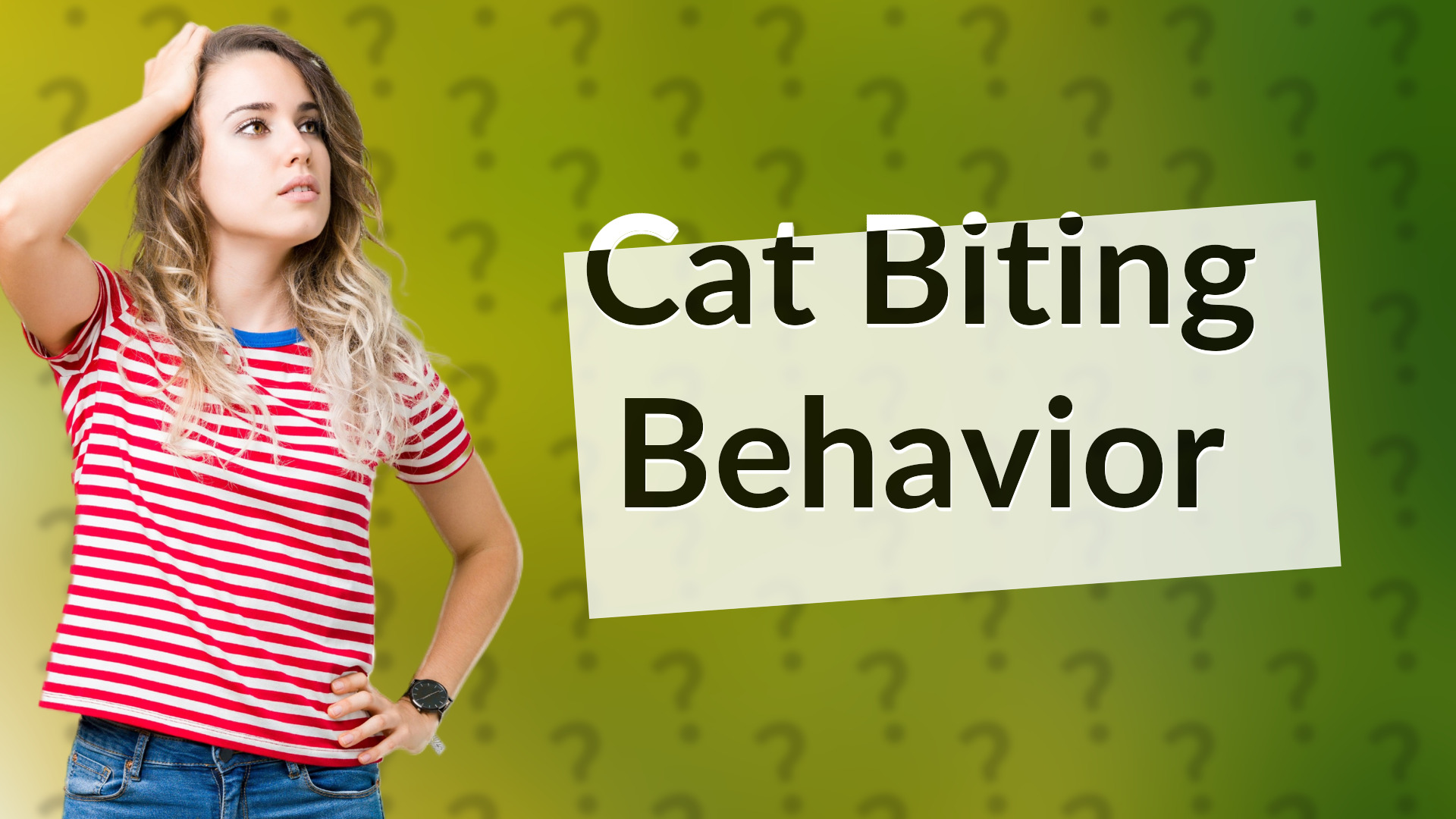 Cat Biting Behavior